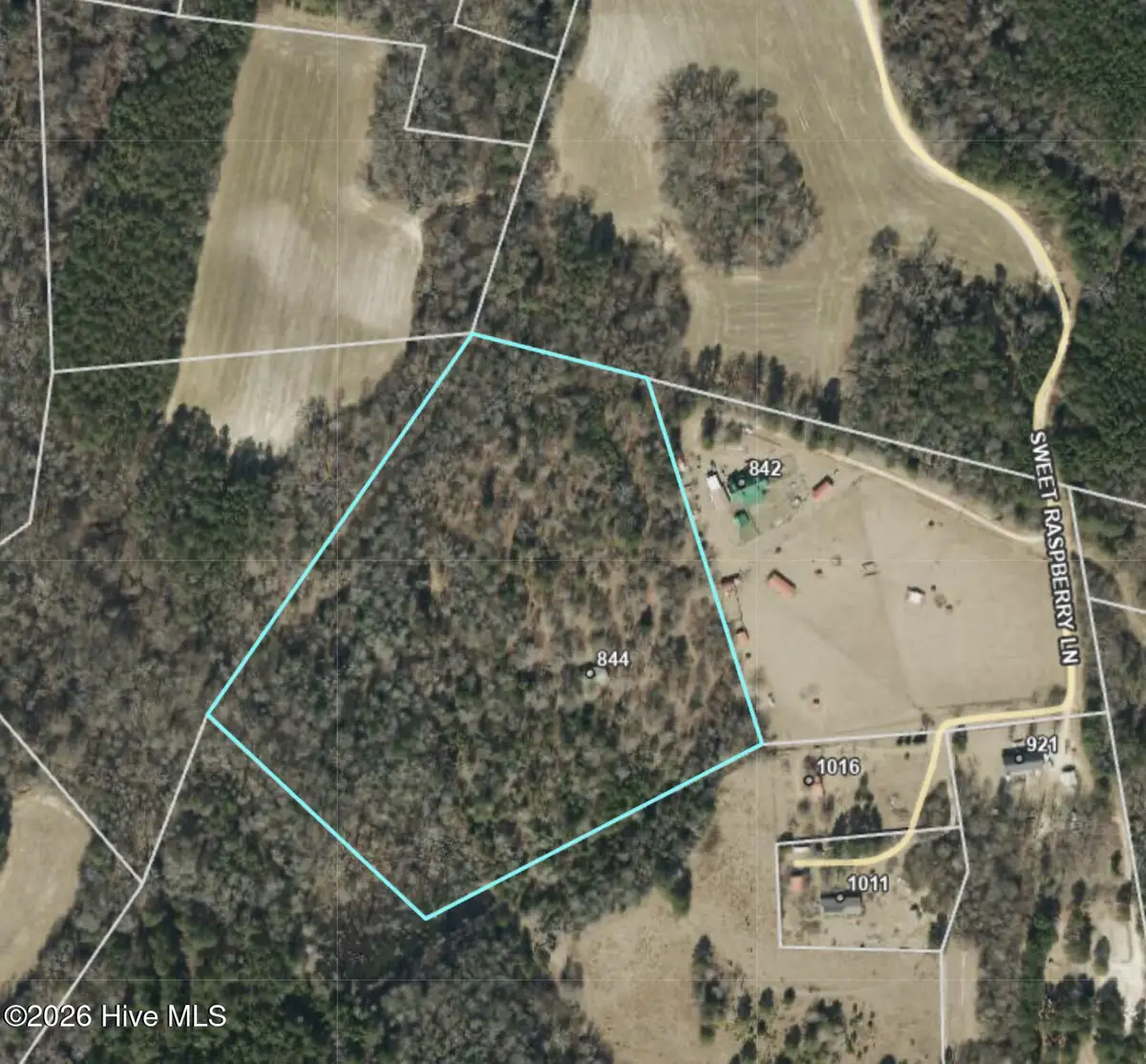 844 Sweet Raspberry Lane, Lillington, NC 27546 - #1