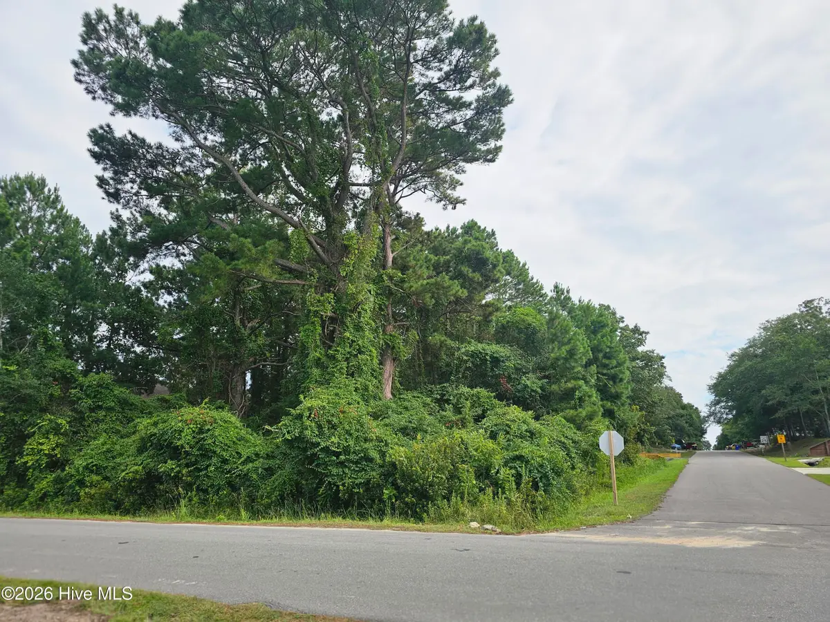 1401 E Yacht Drive, Oak Island, NC 28465 - #1