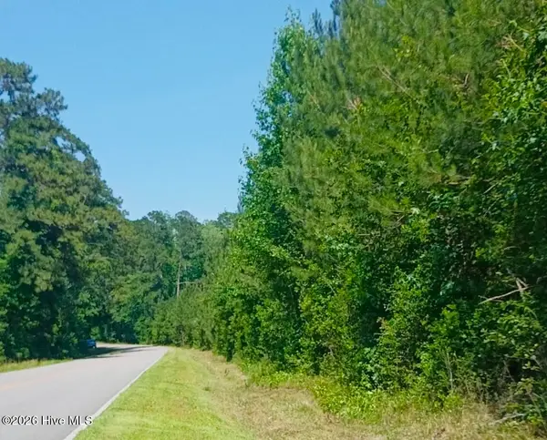 82 Acres Point Caswell Rd Road, Atkinson, NC 28421