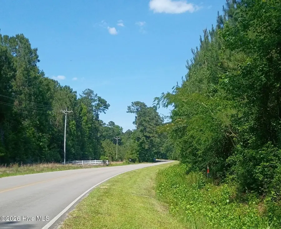 82 Acres Point Caswell Rd Road, Atkinson, NC 28421 - #2