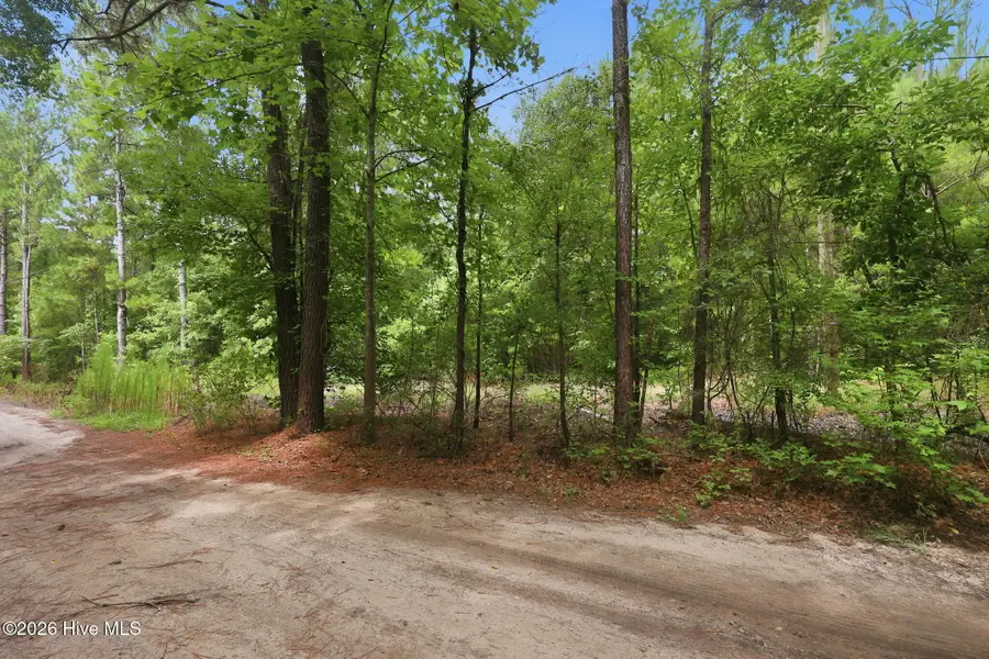 0 Copperhead Lane, Burgaw, NC 28425 - #2