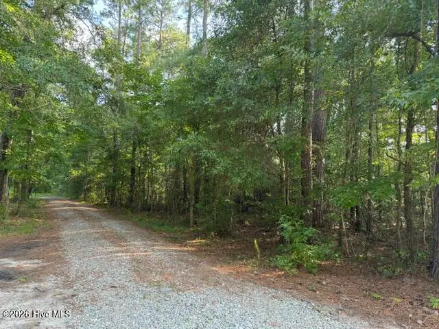 0 E Wilmington Street, Burgaw, NC 28425 - #1