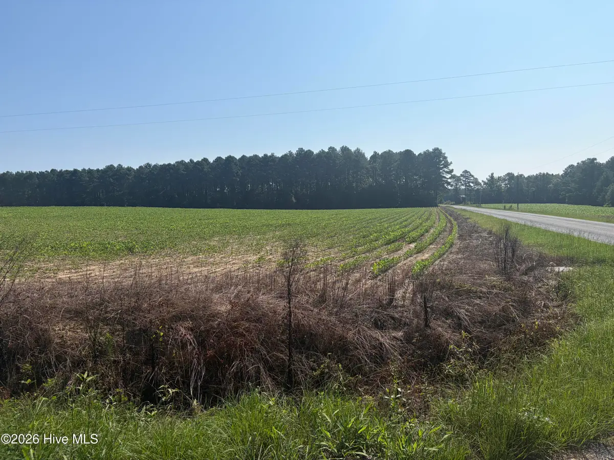 Tbd Bella Bridge Road, Broadway, NC 27505 - #1