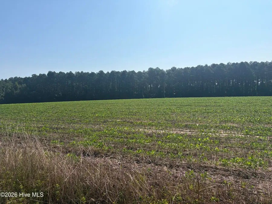 Tbd Bella Bridge Road, Broadway, NC 27505 - #2