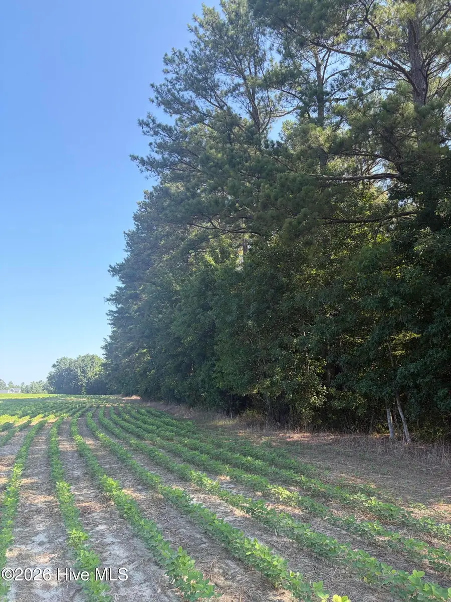 Tbd Bella Bridge Road, Broadway, NC 27505 - #3