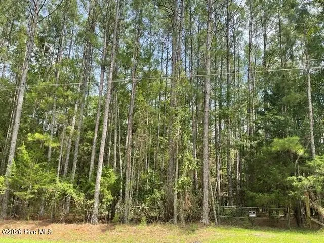 6856 Cottonwood Drive, Appling, GA 30802 - #1