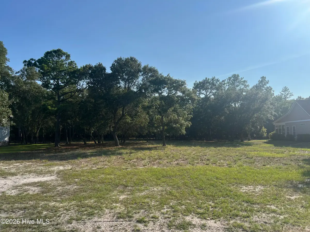 2961 Lake Pointe Drive Sw, Supply, NC 28462 - #1