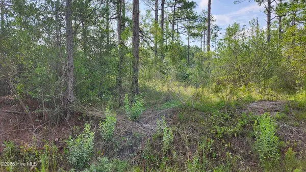 Lot 452 Queens Road, Southport, NC 28461
