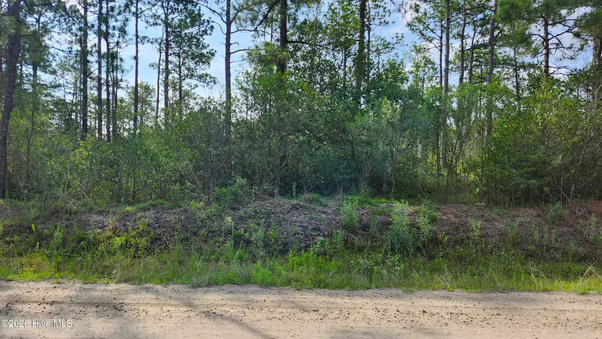 Lot 453 Queens Road, Southport, NC 28461 - #1