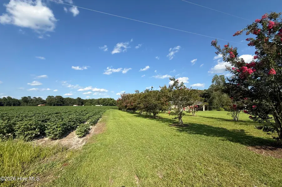 3085 Fire Dept Road, Williamston, NC 27892 - #2