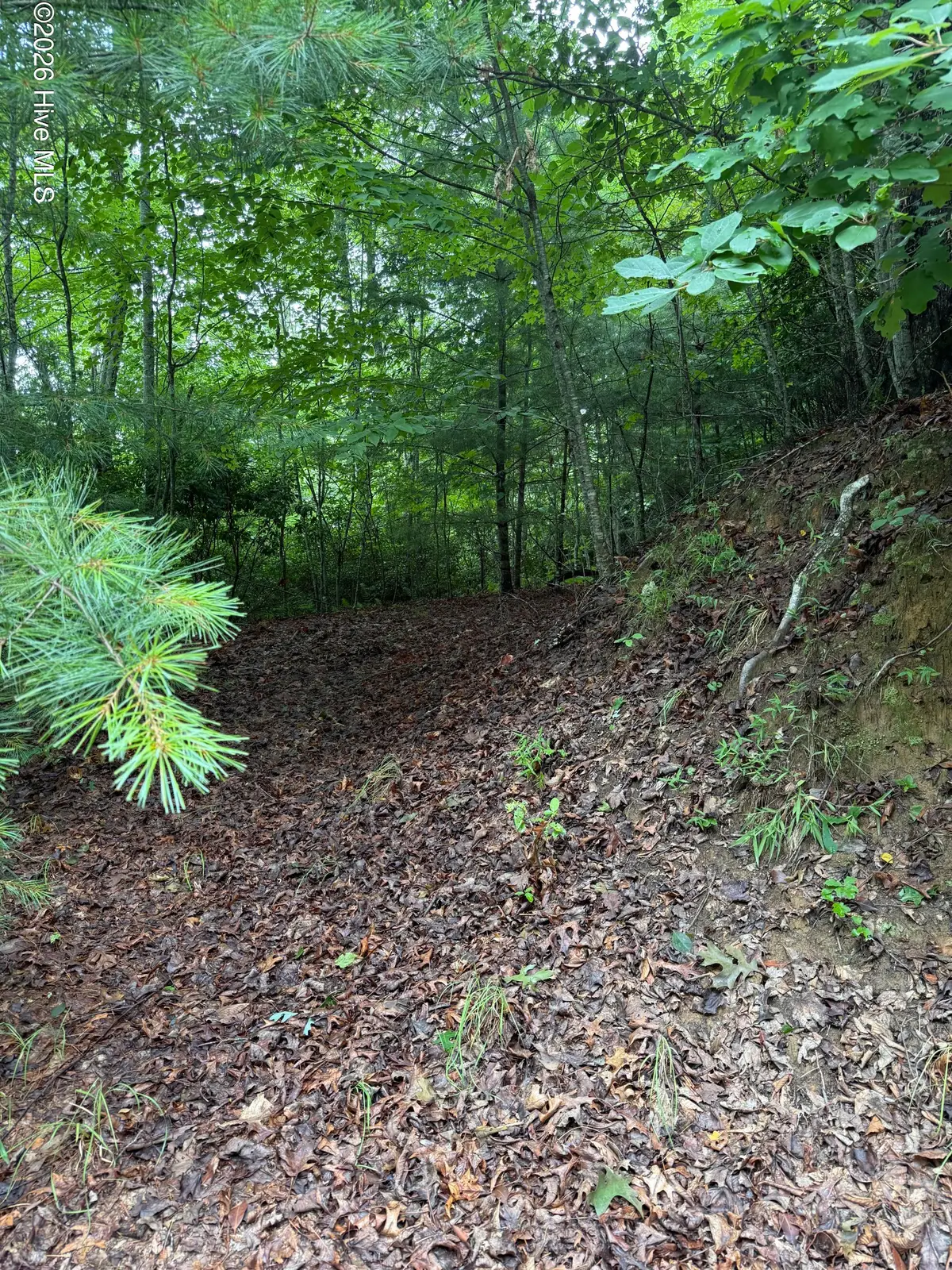 Lot 3 Mountain Vista Lane, Topton, NC 28781 - #1