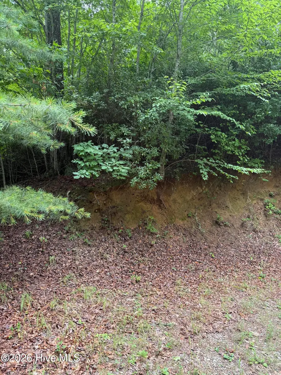 Lot 3 Mountain Vista Lane, Topton, NC 28781 - #2
