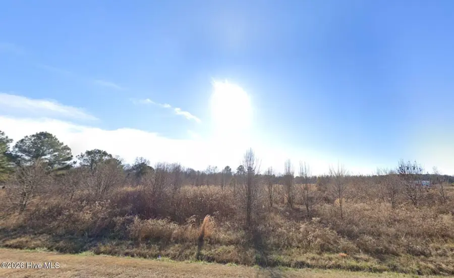 10002 Titan Roberts Road, Erwin, NC 28339 - #2