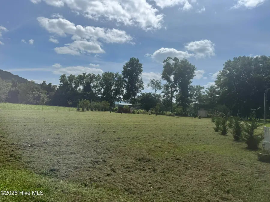 16 Waldorf Place, Brasstown, NC 28902 - #3