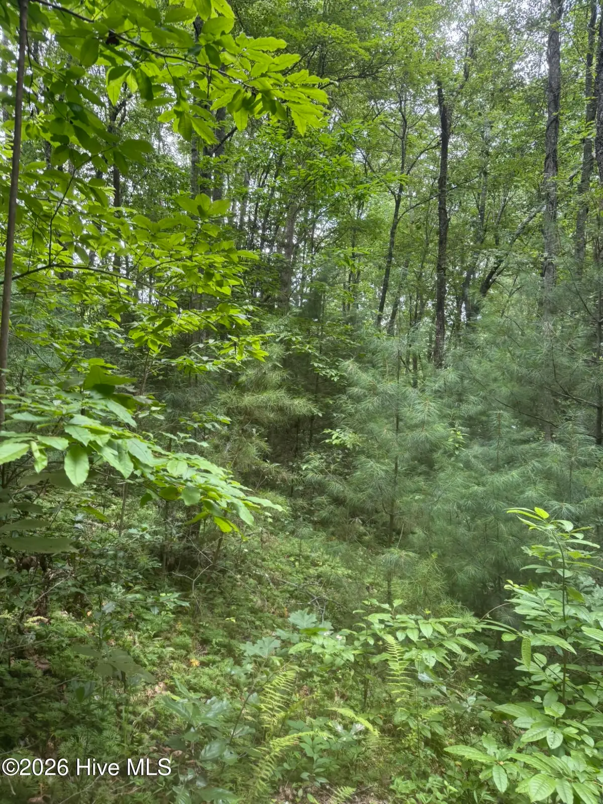 24,25 Camp Creek Estates Drive, Murphy, NC 28906 - #1
