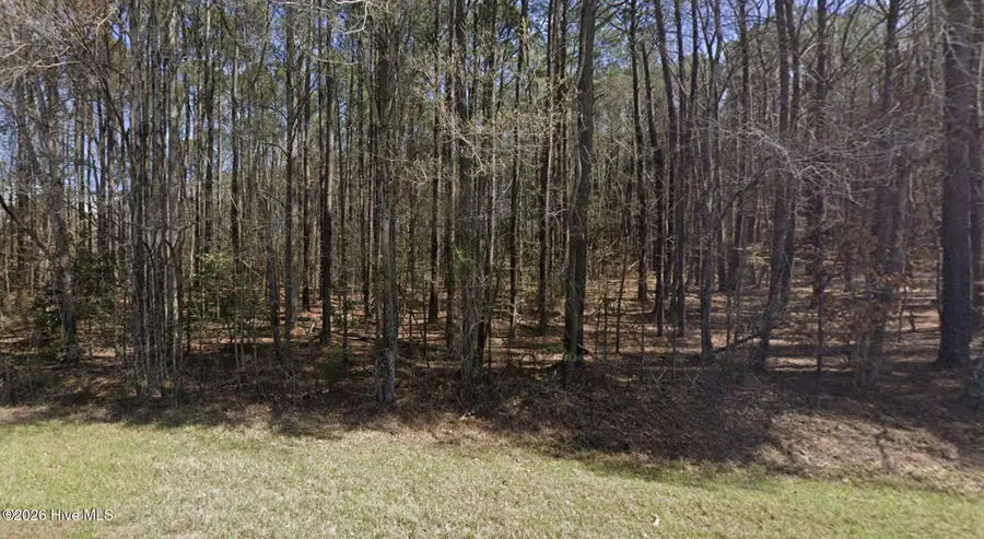 0 Ken Trowbridge Road, Plymouth, NC 27962 - #3