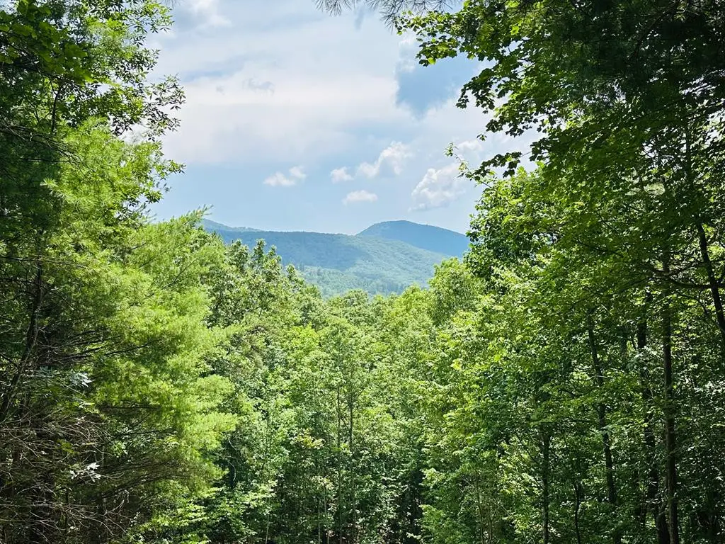 Lot 15 View Ridge Trail, Murphy, NC 28906 - #1