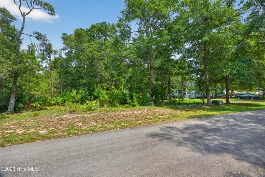3300 Regal Isle Sw, Supply, NC 28462 - #3
