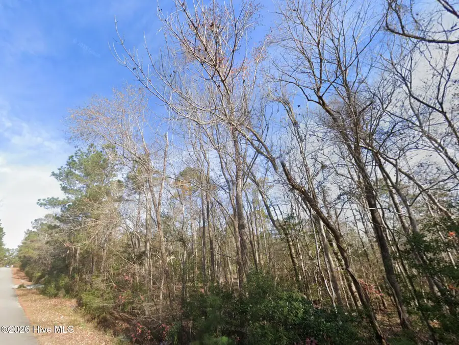 143 N Line Drive, Hampstead, NC 28443 - #2