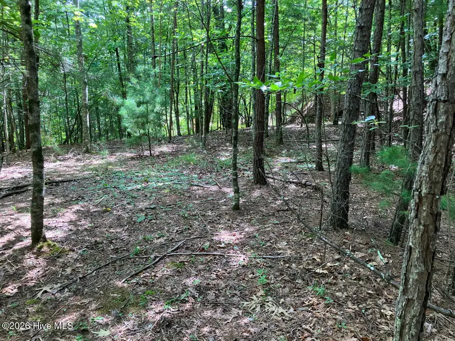 11 Green Cove Circle, Murphy, NC 28906 - #3