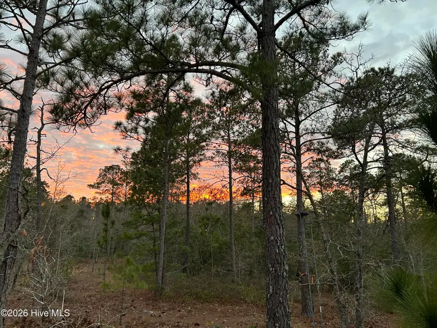 000 Sand Ridge Road, Hubert, NC 28539 - #3