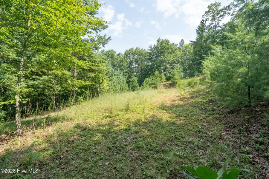 26 Kalanu Trail, Murphy, NC 28906 - #2