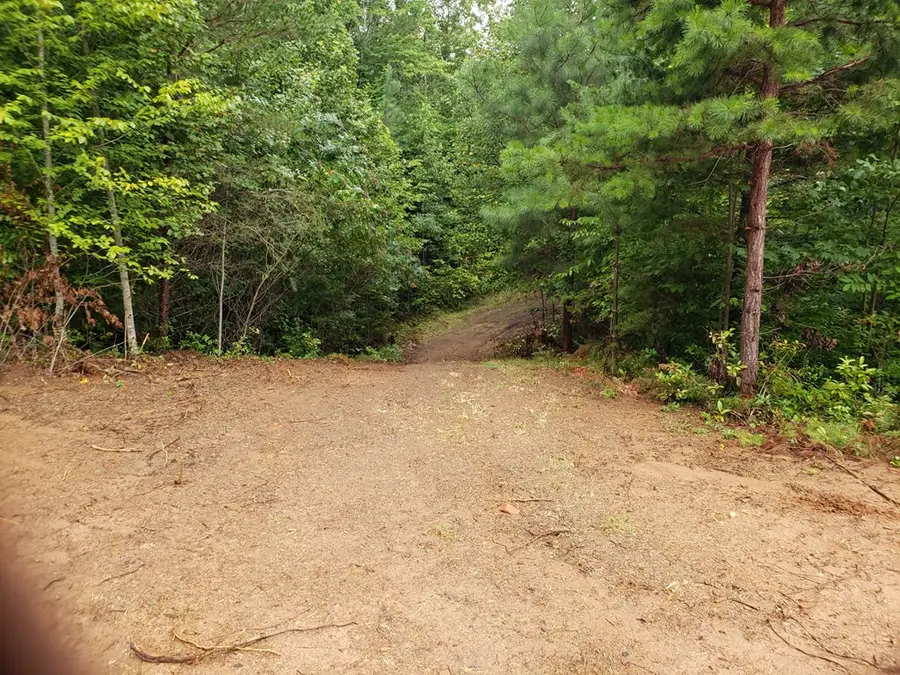 26 Kalanu Trail, Murphy, NC 28906 - #3