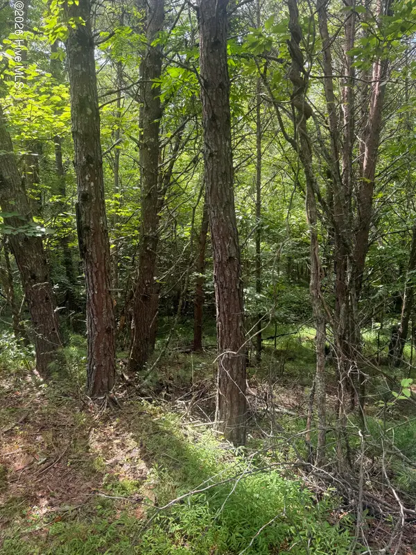 18 + 19 Joyce Road, Murphy, NC 28906