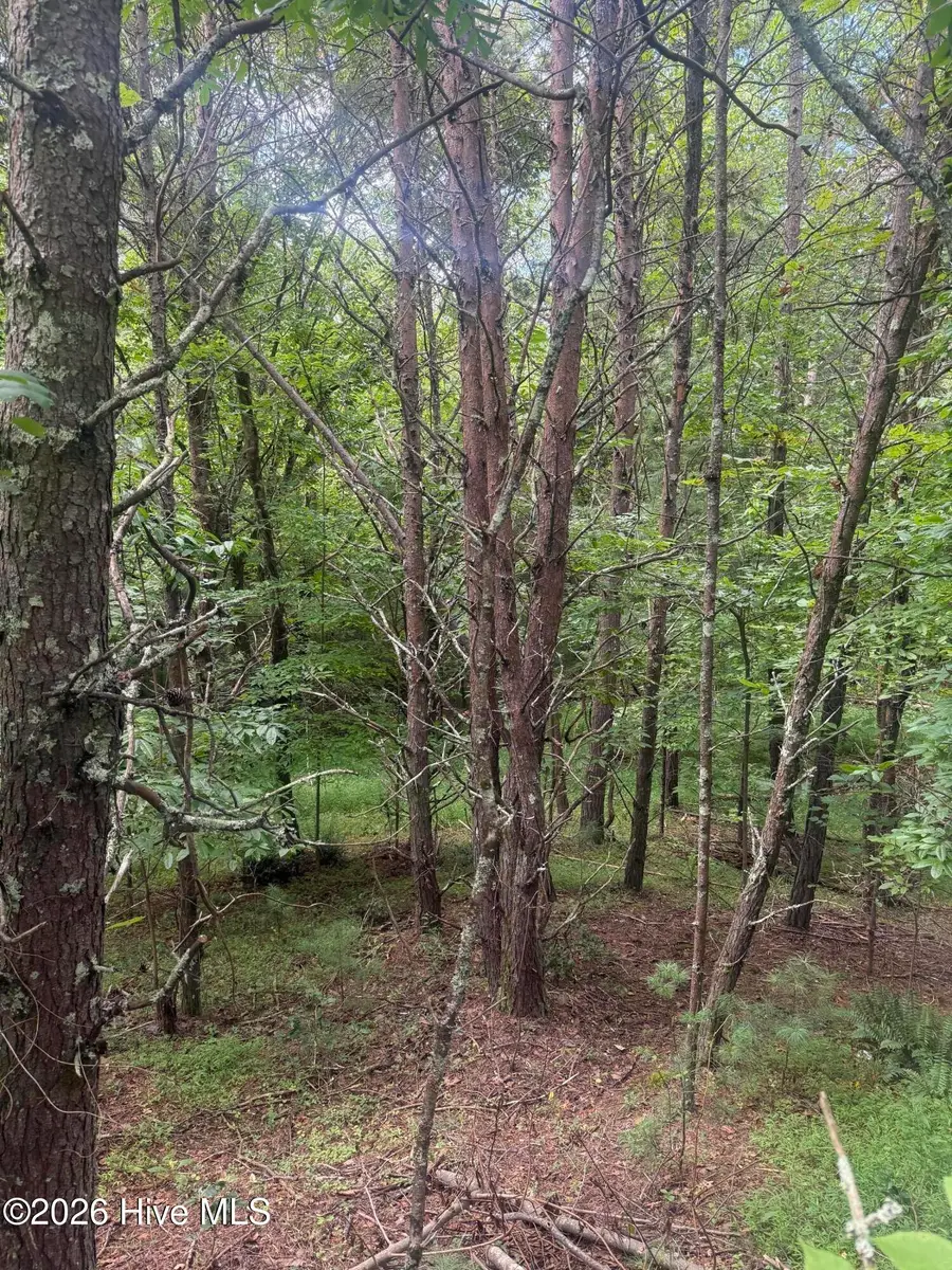 18 + 19 Joyce Road, Murphy, NC 28906 - #2