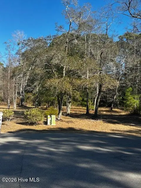 141 Eagle Court Sw, Supply, NC 28462