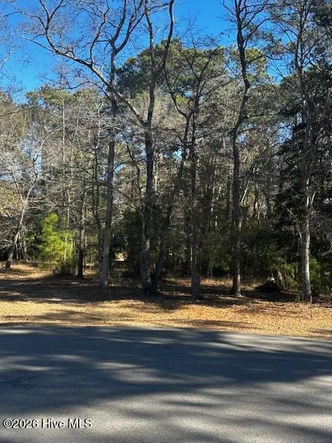 141 Eagle Court Sw, Supply, NC 28462 - #2