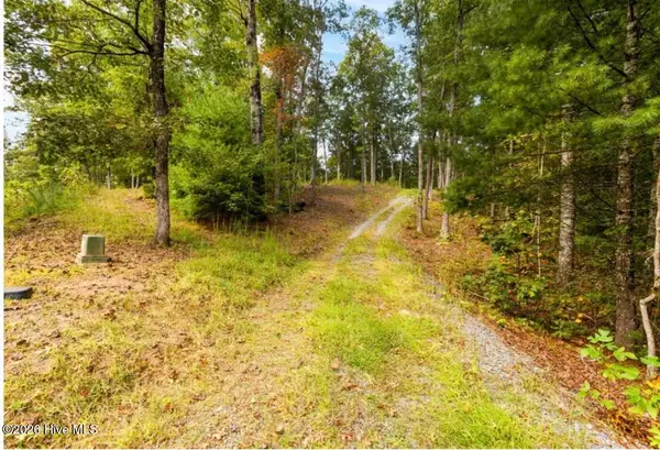 Tbd Nature Valley Trail, Murphy, NC 28906