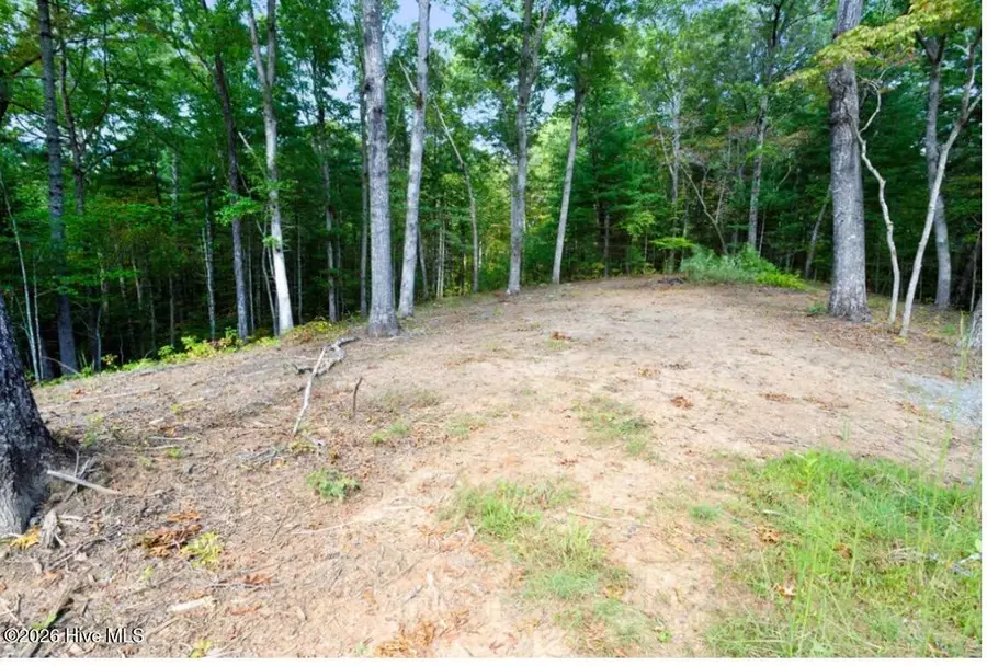 Tbd Nature Valley Trail, Murphy, NC 28906 - #3