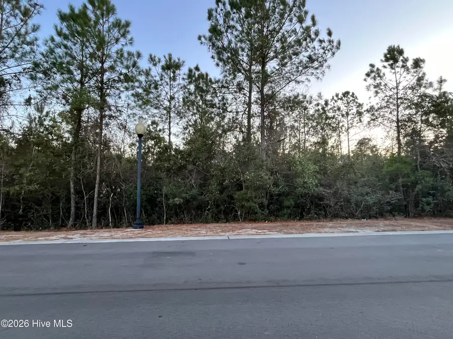 2957 Old Berwick Street Sw, Shallotte, NC 28470 - #2