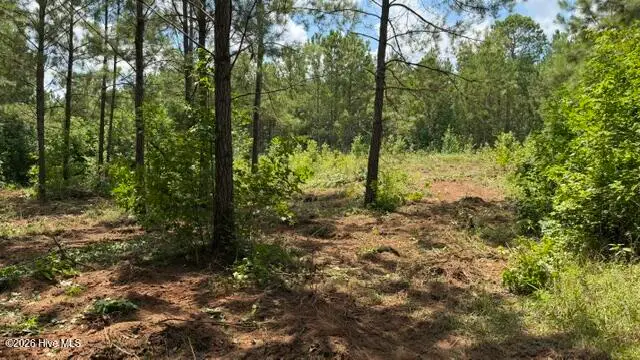 255 Menros Way, Appling, GA 30802 - #3