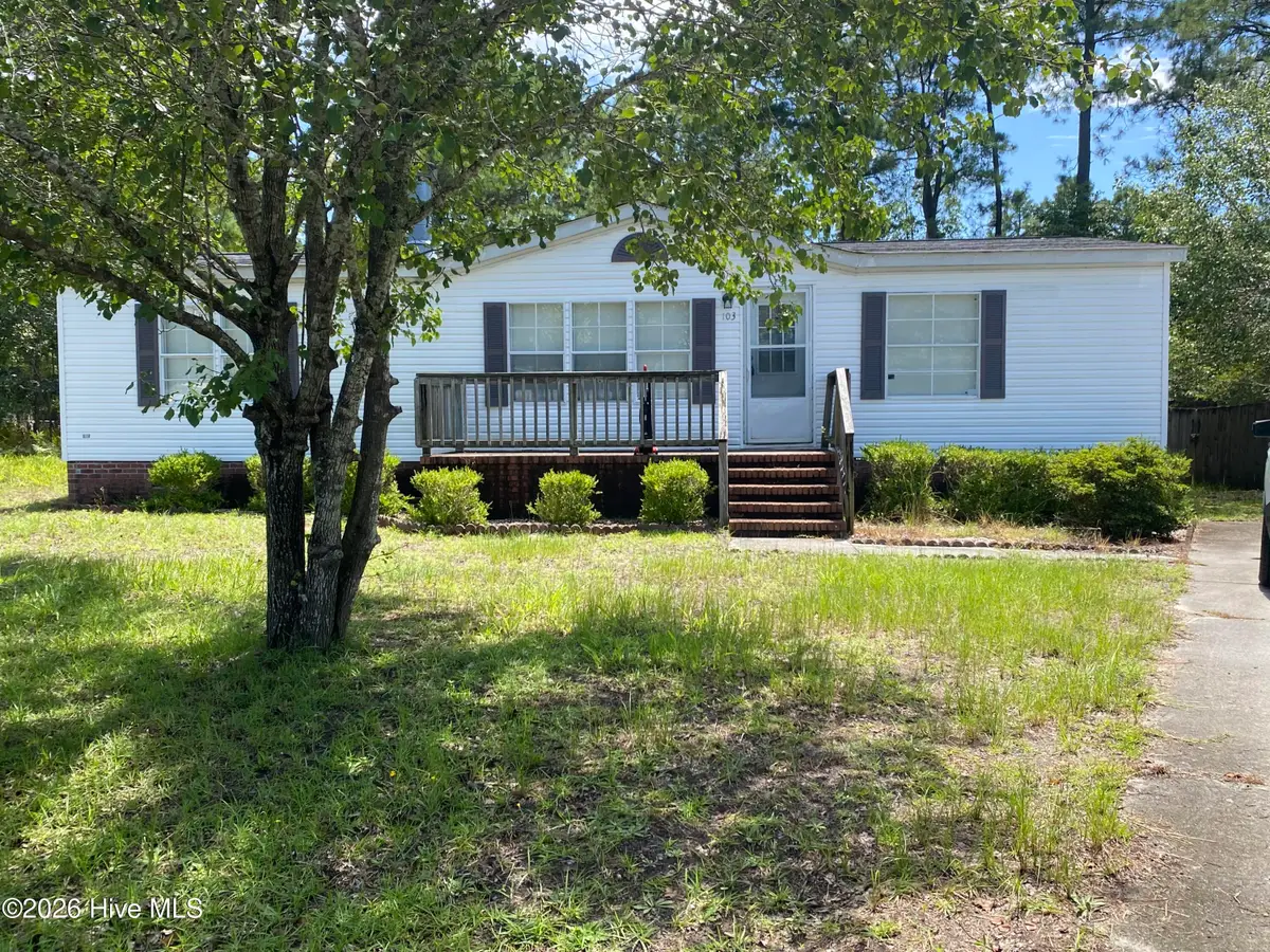 103 Yew Court, Hubert, NC 28539 - #1