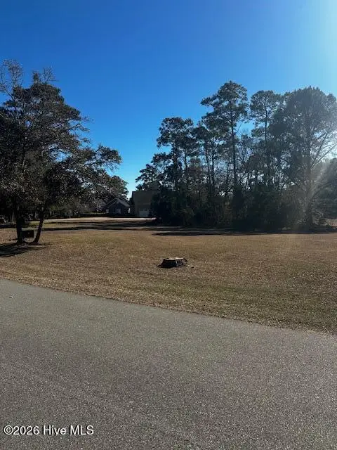 83 Oyster Shoals Court Sw, Supply, NC 28462 - #2