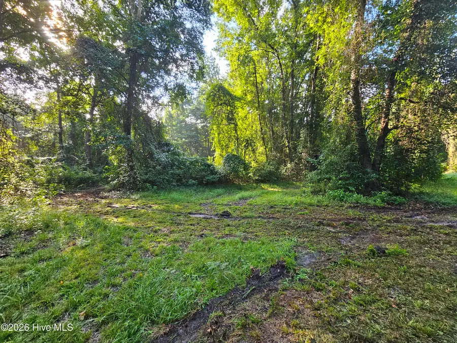 Lot 83 E Waterway Drive, Belhaven, NC 27810 - #2