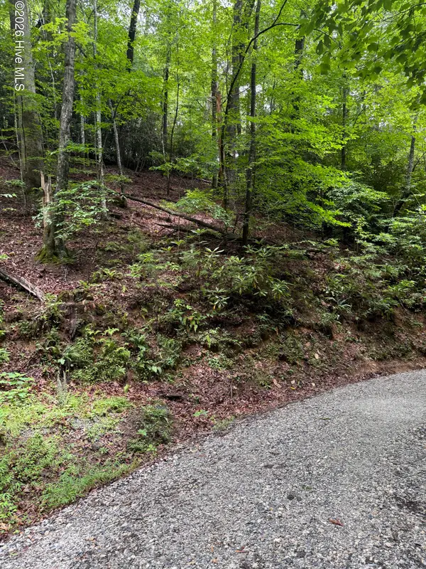 9 Indian Lake Road, Topton, NC 28781