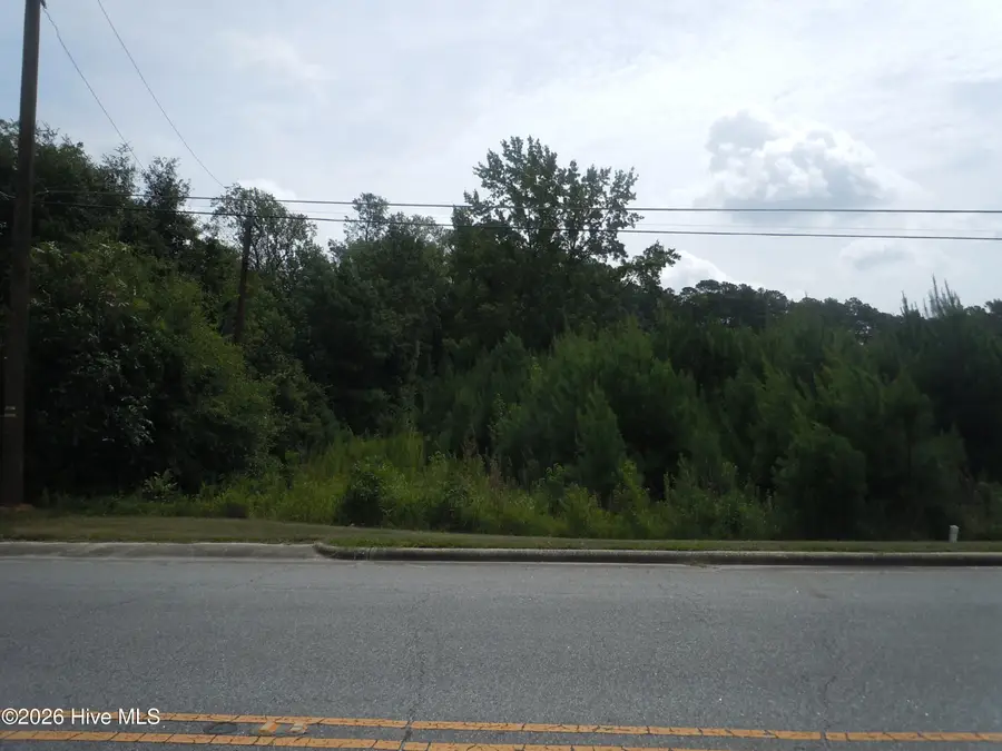 Tbd Near 911 Hickman Road, Tabor City, NC 28463 - #3