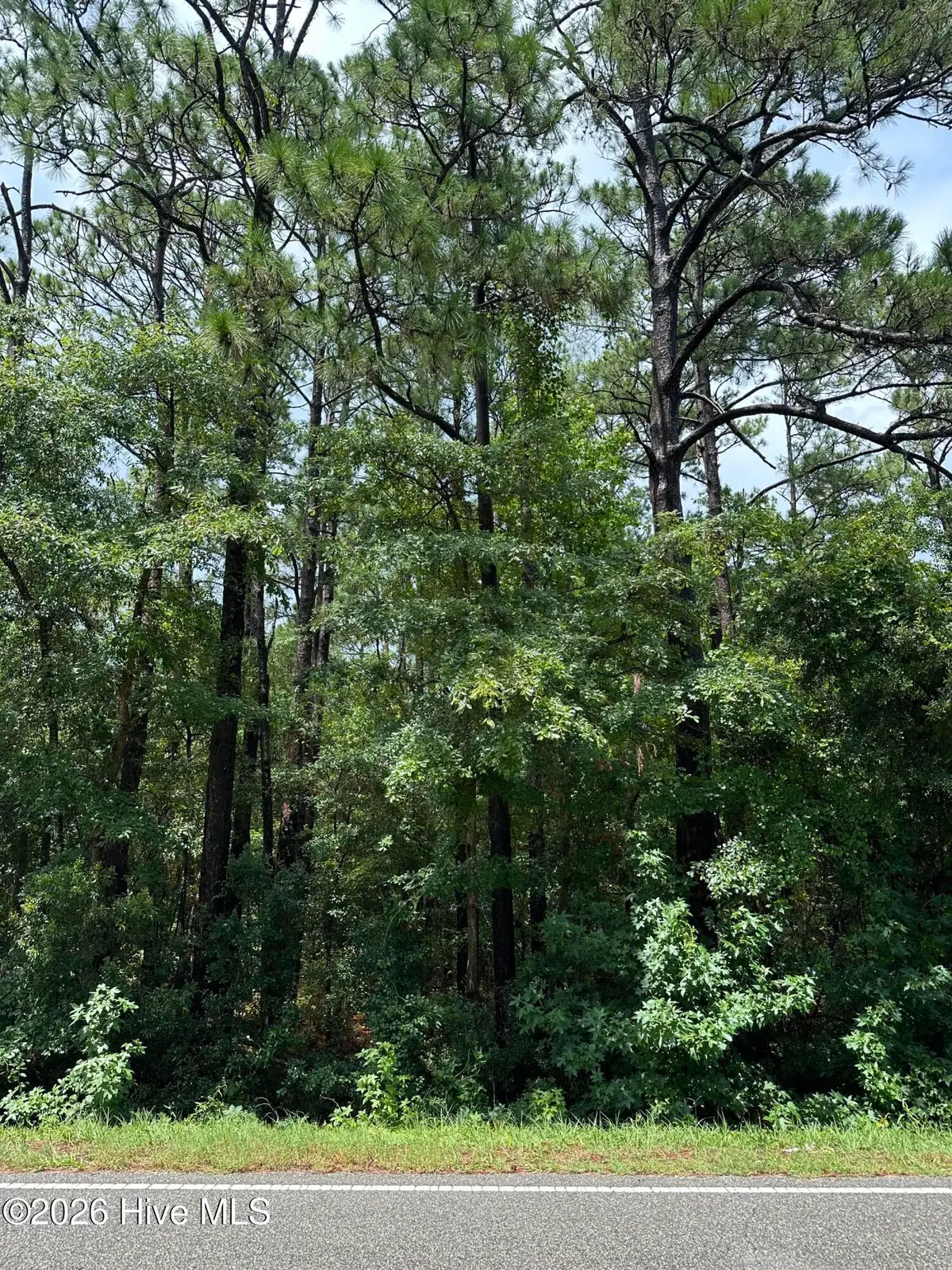 212 Golden Road, Wilmington, NC 28409 - #1