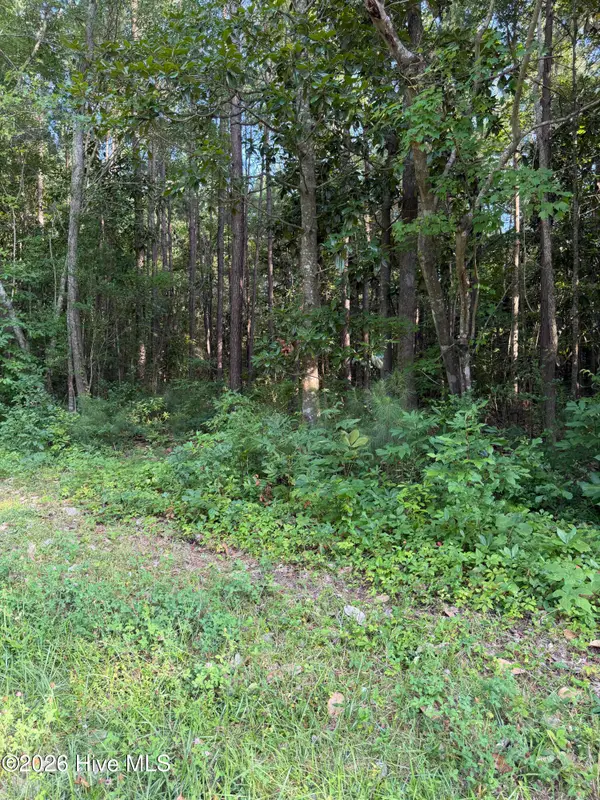 1185 Green Springs Road, New Bern, NC 28560