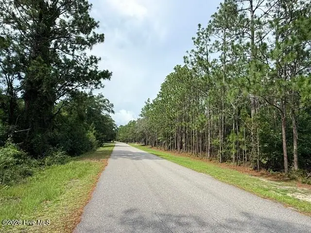 L-26 & 27 Eden Drive, Boiling Spring Lakes, NC 28461 - #1