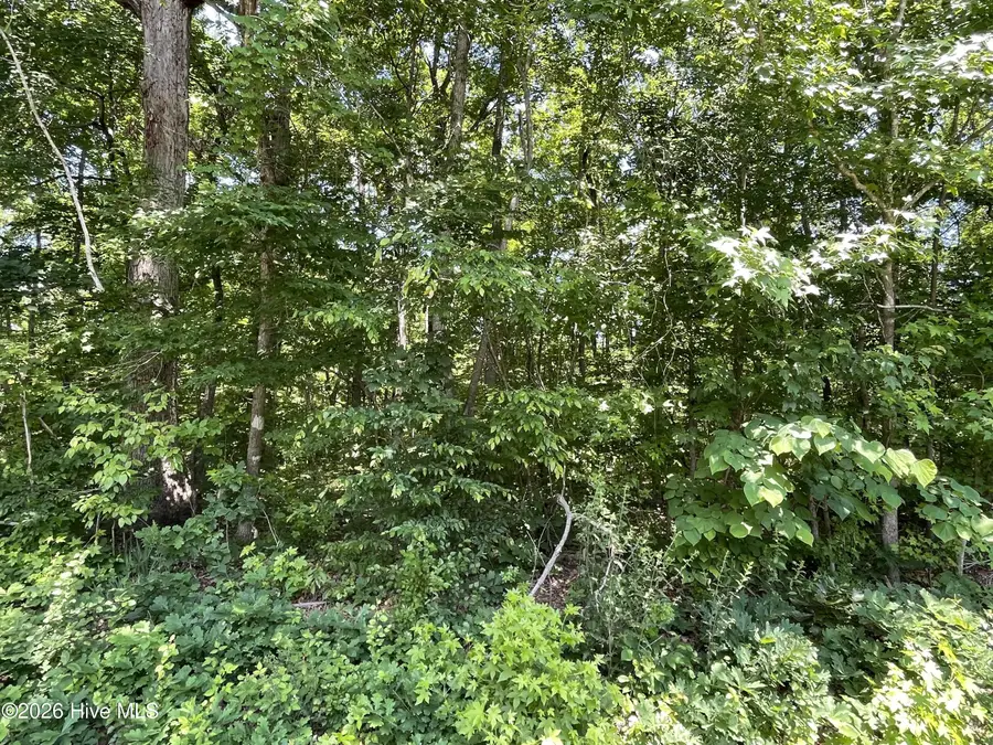 2 Shady Lane, Burlington, NC 27217 - #2