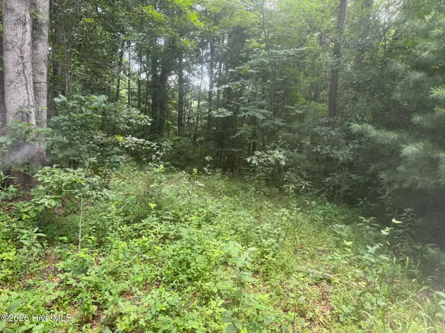12,13 Camp Creek Estates Drive, Murphy, NC 28906 - #2