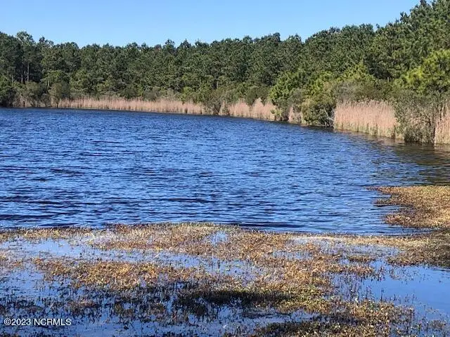 123 E Dowry Creek E, Belhaven, NC 27810 - #3
