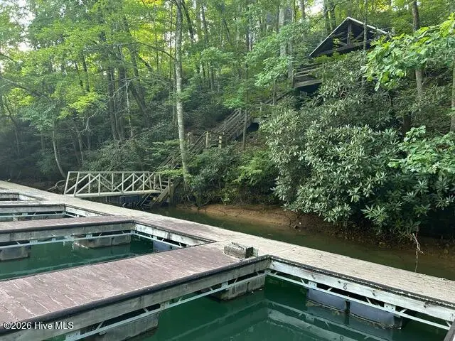 13 Little Choga Road, Topton, NC 28781 - #2
