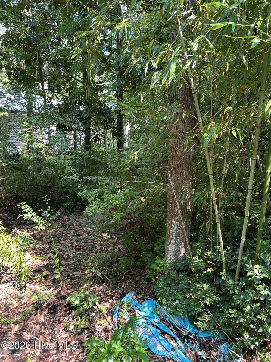 223 Bagley Avenue, Wilmington, NC 28409 - #3
