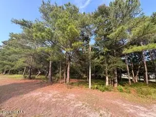 2110 Oyster Harbour Parkway Sw, Supply, NC 28462 - #2