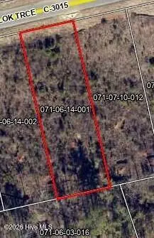 Lot 111 Scentlok Trace, Warrenville, SC 29851 - #1